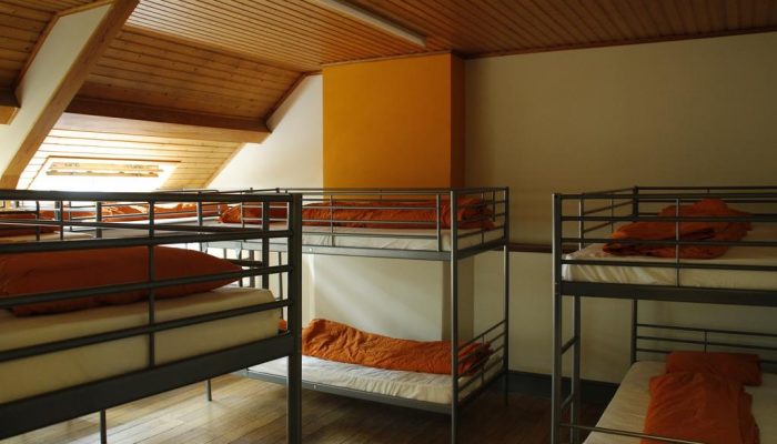 Bed in 8-Bed Mixed Dormitory Room